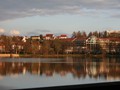 IMG_8560_gr